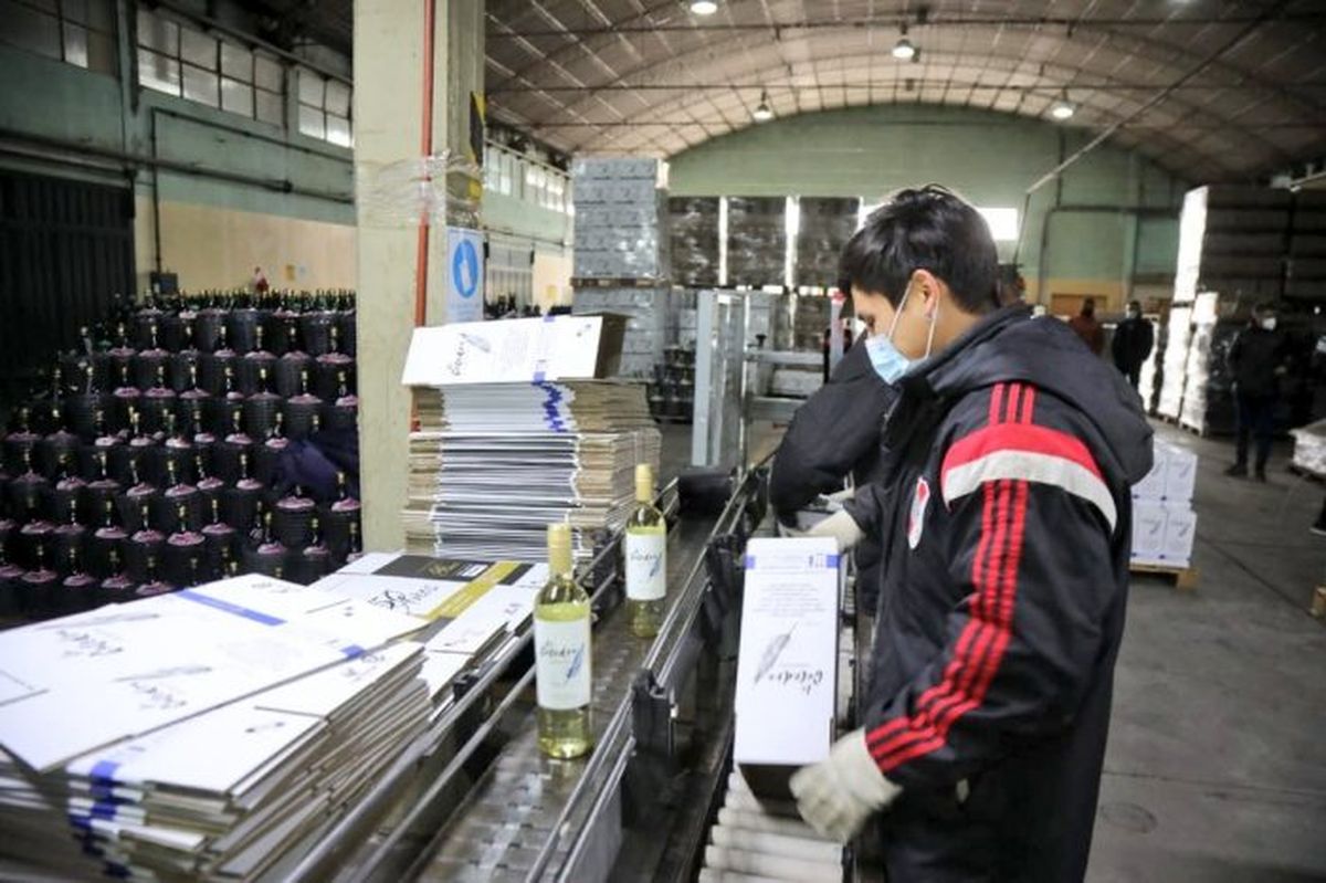 Abrió la inscripción para el programa de empleo Enlazados: qué beneficios tiene y cómo anotarse.