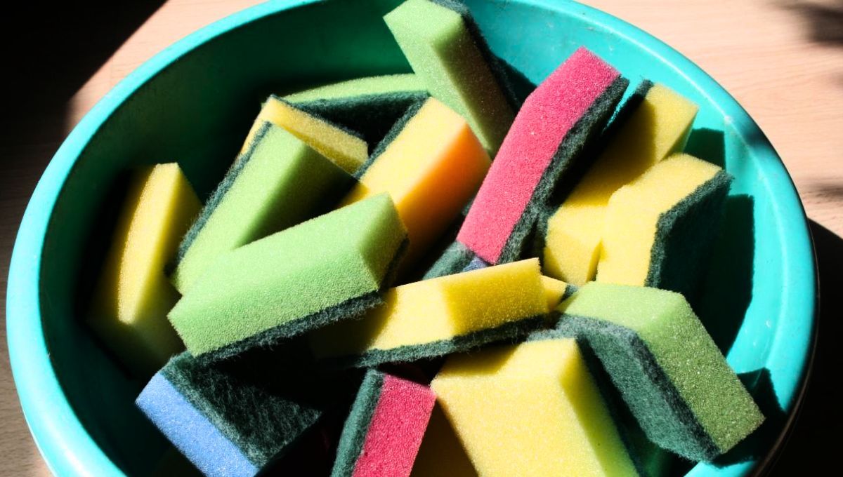 Las esponjas de cocina pueden ser reemplazadas en el futuro