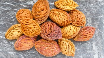 Quien tenga carozos de durazno tiene un tesoro en sus manos: por qué hay que guardarlos Quien tenga carozos de durazno tiene un tesoro en sus manos: por qué hay que guardarlos