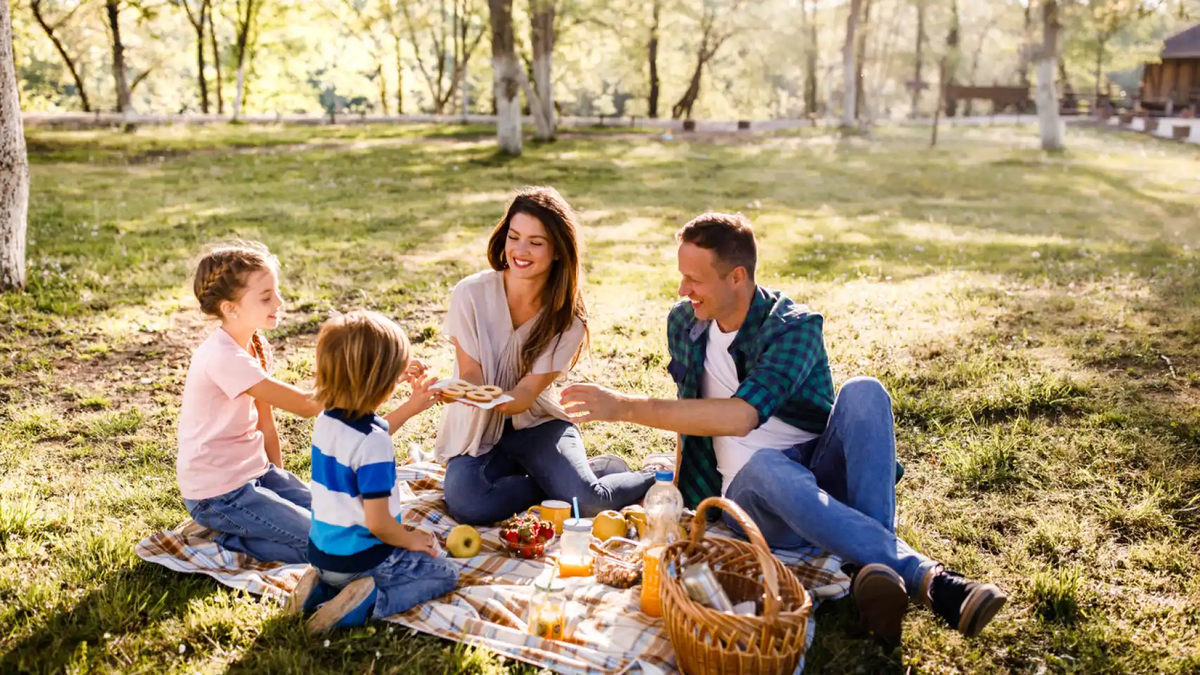 18 de junio, Día Internacional del Picnic, una buena ocasión para compartir en familia. 18 de junio, Día Internacional del Picnic, una buena ocasión para compartir en familia.