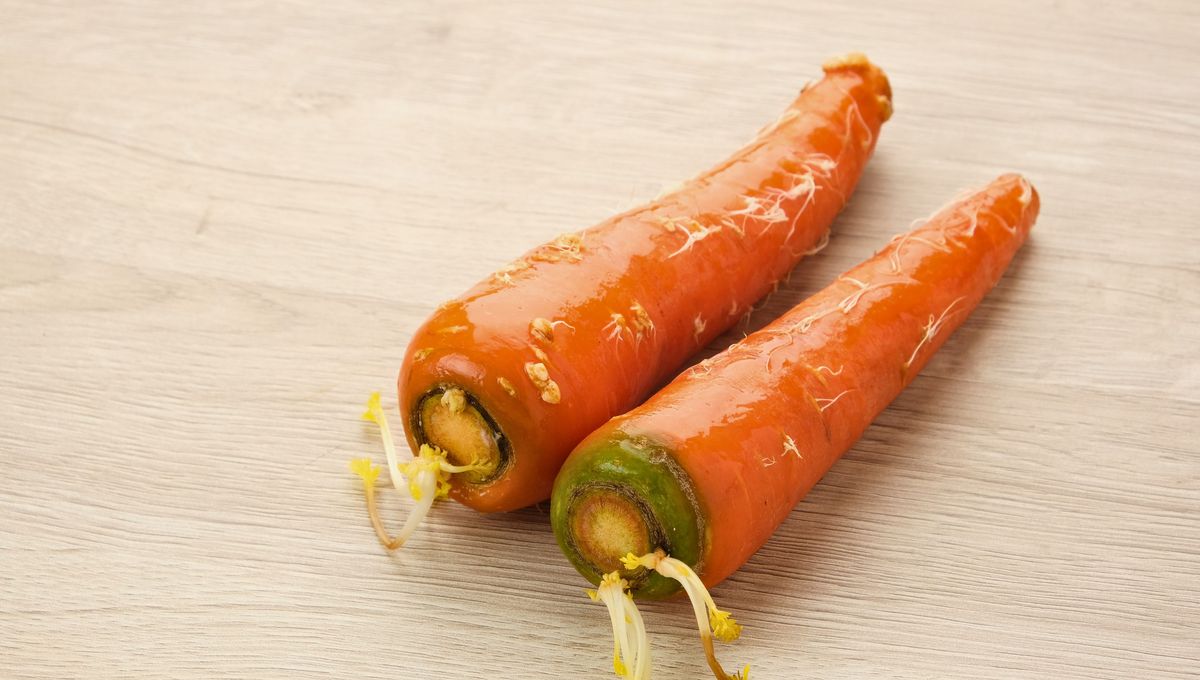 Naturalmente, las verduras se descomponen, pierden agua y se llenan de hongos. Naturalmente, las verduras se descomponen, pierden agua y se llenan de hongos. 