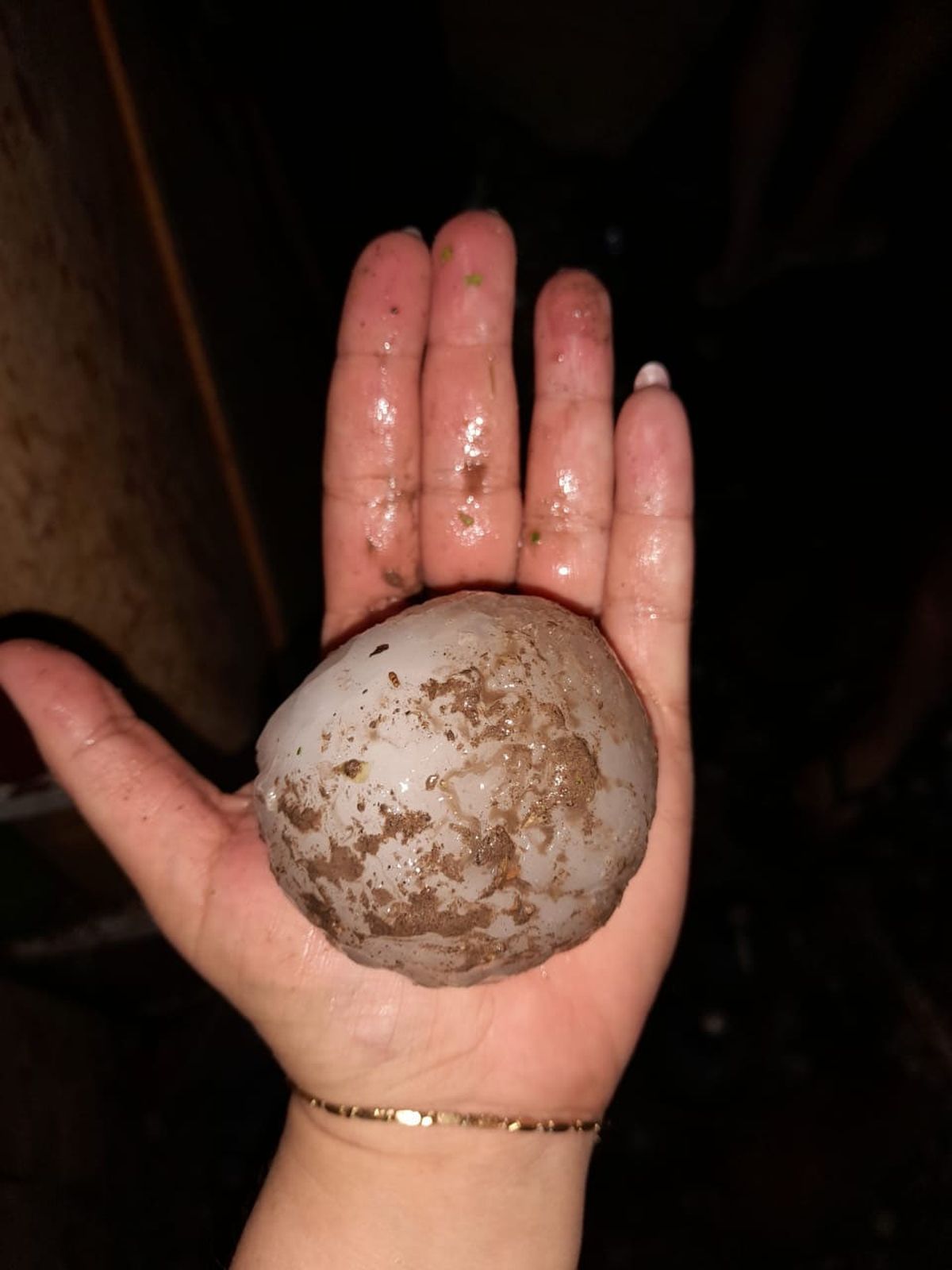 Algunas zonas donde cayó granizo de gran tamaño había zafado de las tormentas anteriores.