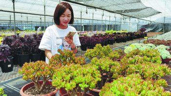 La venta directa de flores está en pleno auge