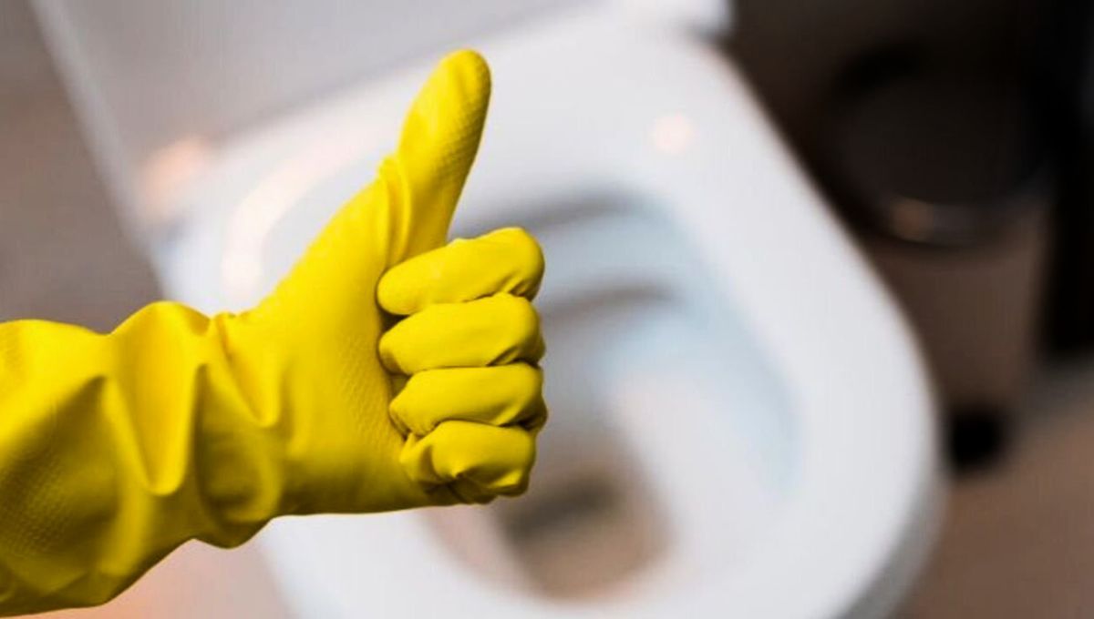 La presencia de sarro en tu inodoro puede ocasionar graves problemas con el paso del tiempo