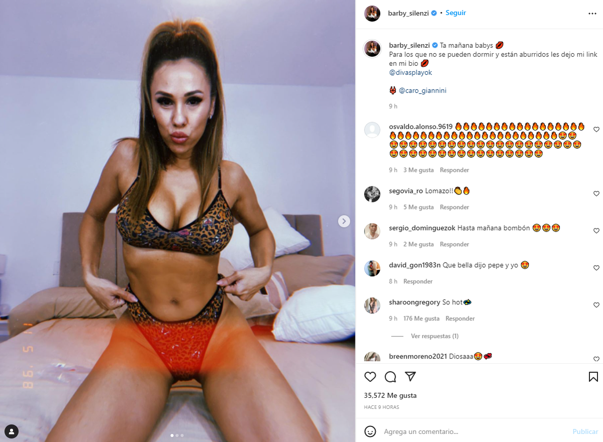 El posteo de Barby Silenzi en su cuenta de Instagram.