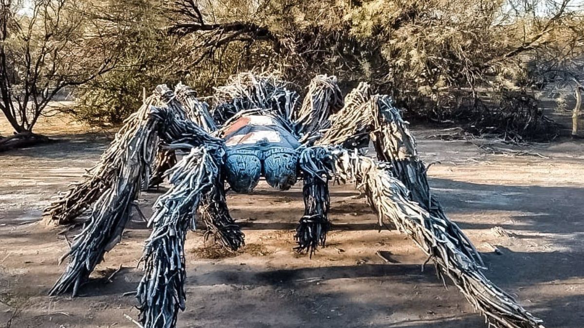 La araña gigante que Zalazar Correa realizó para la reserva de Ñacuñán. La textura que asemeja el pelo de las patas está hecha de ramas que encontró esparcidas en el lugar.