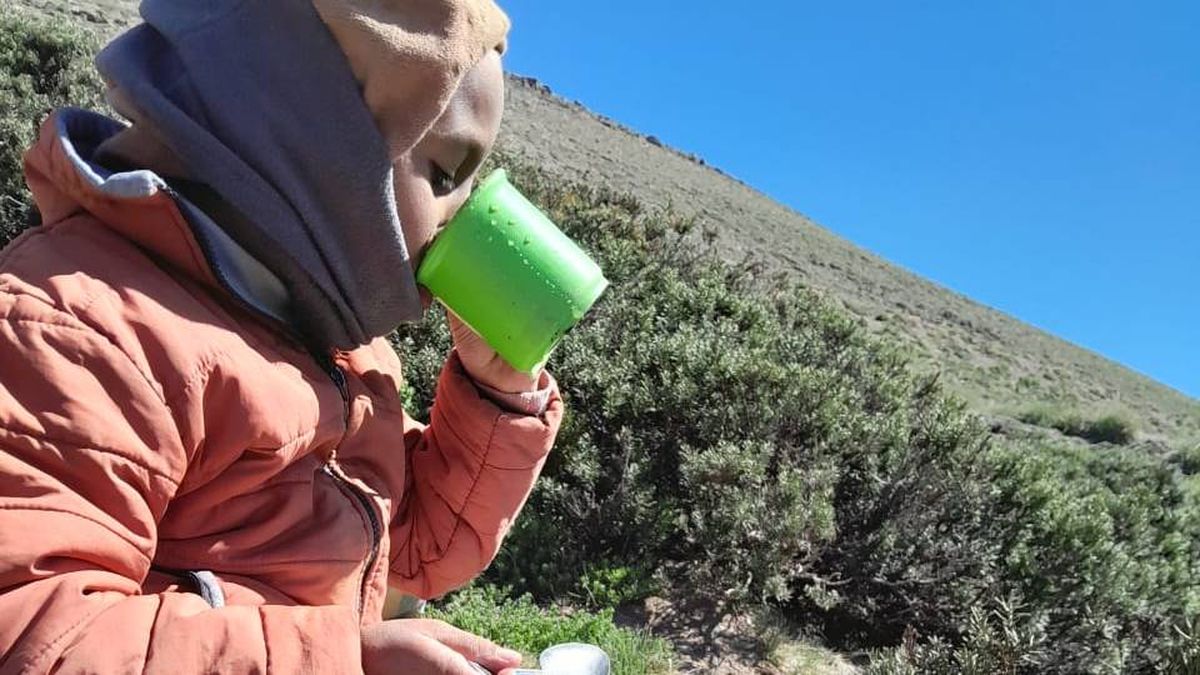 Salir a guiar a los animales es tarea corriente. No le importa el frío. Ihan enfrenta cada día con una sonrisa. Salir a guiar a los animales es tarea corriente. No le importa el frío. Ihan enfrenta cada día con una sonrisa.