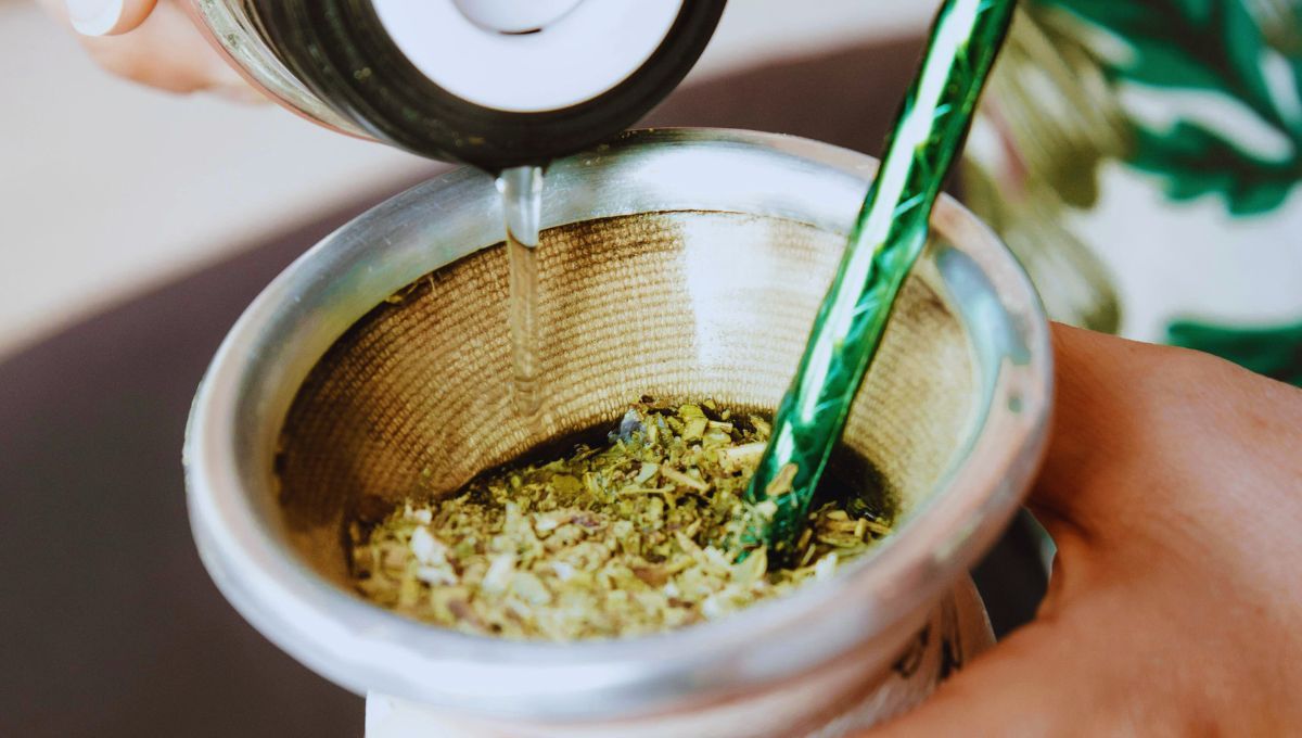 Cayó la producción de yerba y las ventas tocaron su nivel más bajo en 8 años