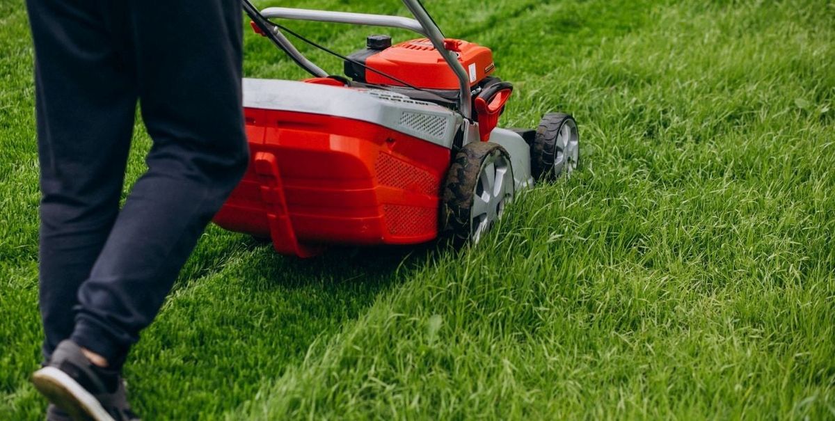 Revelan cuál es la altura de corte ideal para mantener el césped sin irregularidades Revelan cuál es la altura de corte ideal para mantener el césped sin irregularidades