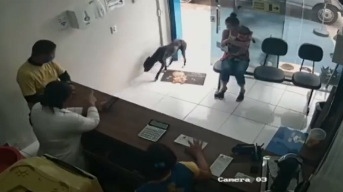 Captura de video: el perro entró a la veterinaria y mostró sus heridas.