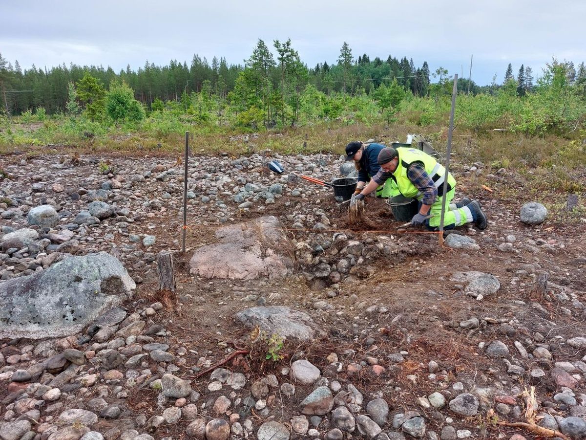 Se espera que la excavación lleve a nuevos hallazgos, ya que la zona es rica en artefactos del pasado. Se espera que la excavación lleve a nuevos hallazgos, ya que la zona es rica en artefactos del pasado.