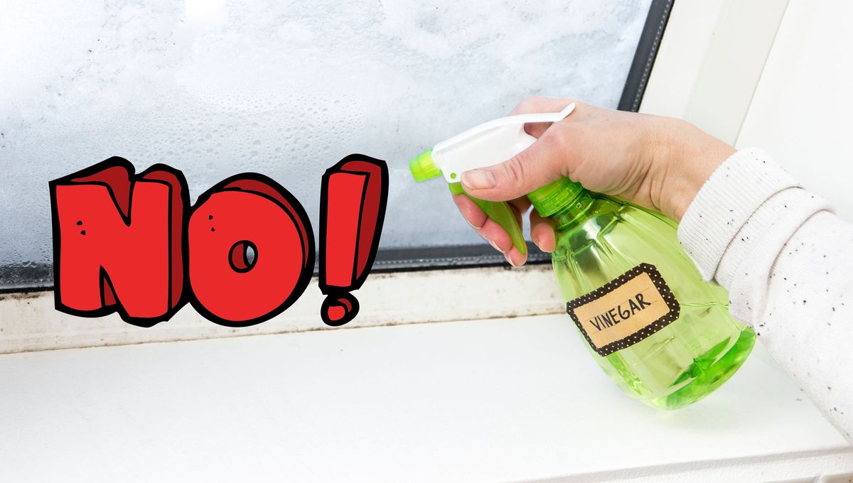 Algunas superficies delicadas no se llevan bien con el vinagre. Algunas superficies delicadas no se llevan bien con el vinagre. 