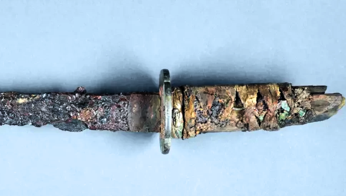 Un descubrimiento realizado en Europa dejó con miles de preguntas a los arqueólogos