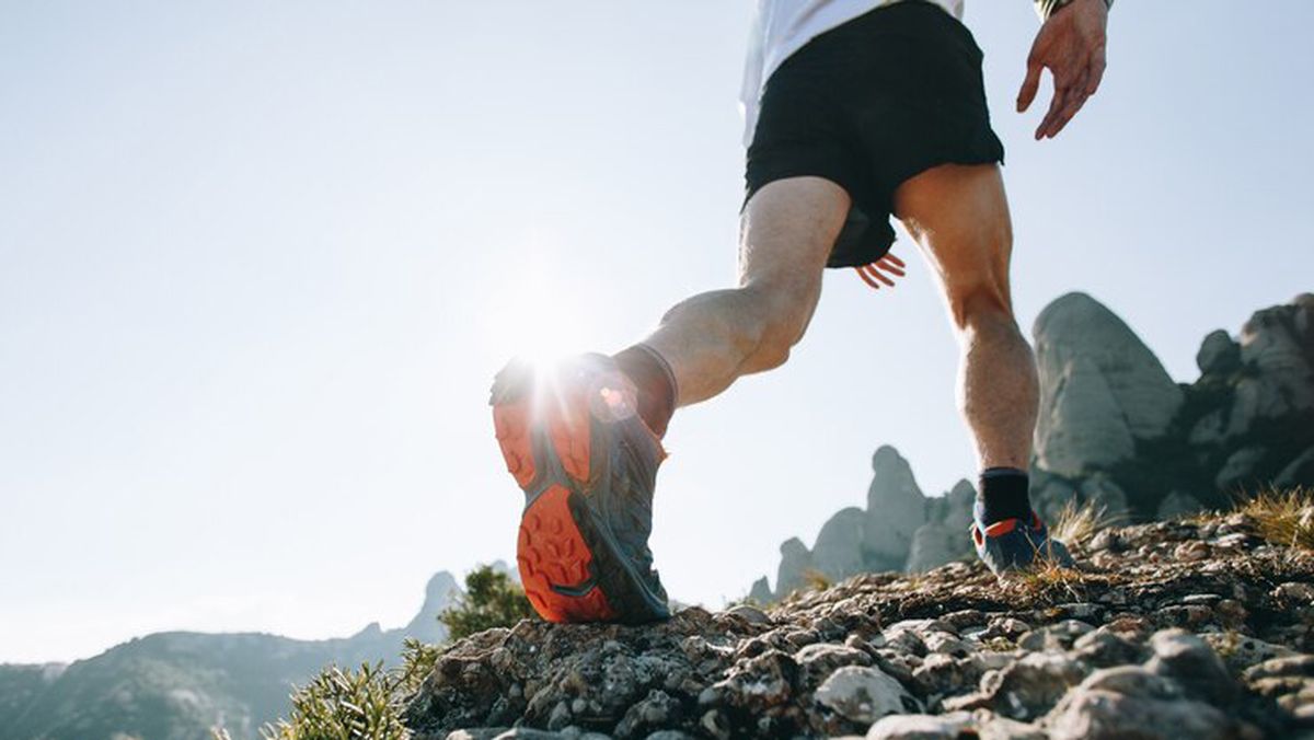 ¿Correr o caminar? ¿Cuál de las dos actividades físicas es menos nociva para nuestro cuerpo según la ciencia? ¿Correr o caminar? ¿Cuál de las dos actividades físicas es menos nociva para nuestro cuerpo según la ciencia?