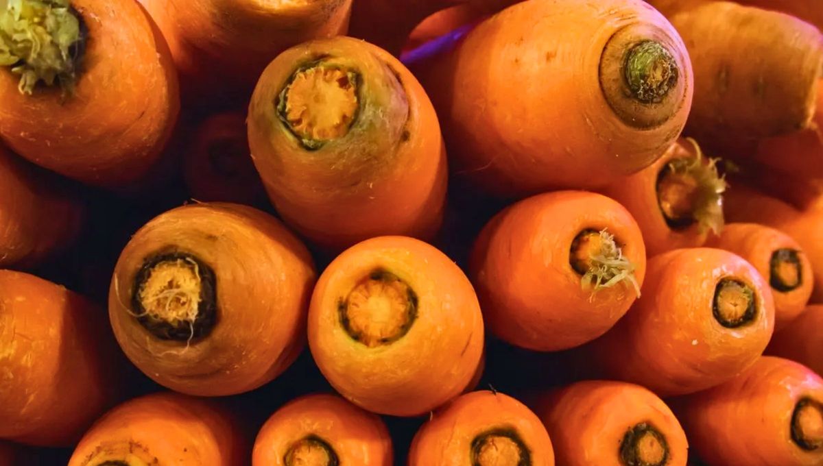 Cuando consumas zanahoria procura guardar su tallo o tronco para reutilizarlo en estas ideas. Cuando consumas zanahoria procura guardar su tallo o tronco para reutilizarlo en estas ideas.