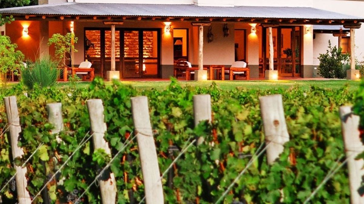 Algodon Wine Estate, de capitales extranjeros en San Rafael. Algodon Wine Estate, de capitales extranjeros en San Rafael.