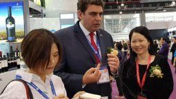 La larga marcha del vino argentino hacia la China