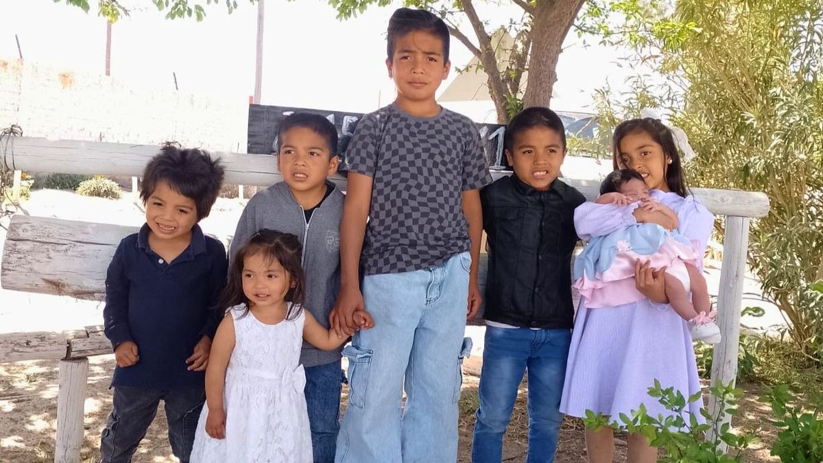Los siete hijos de Noelia, la mayor felicidad de su vida. "Tengo vocación de madre", explicó. Los siete hijos de Noelia, la mayor felicidad de su vida. "Tengo vocación de madre", explicó.