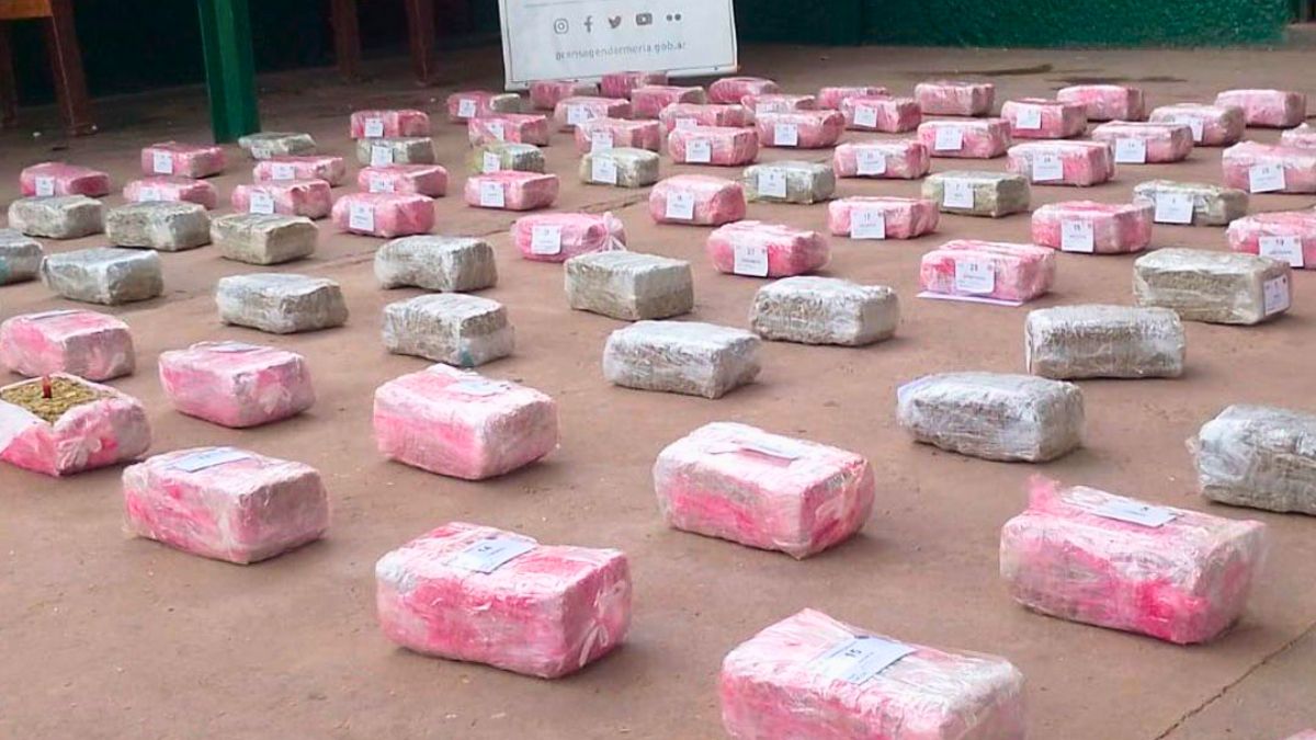 Las drogas que fueron secuestradas en Salta. Las drogas que fueron secuestradas en Salta.