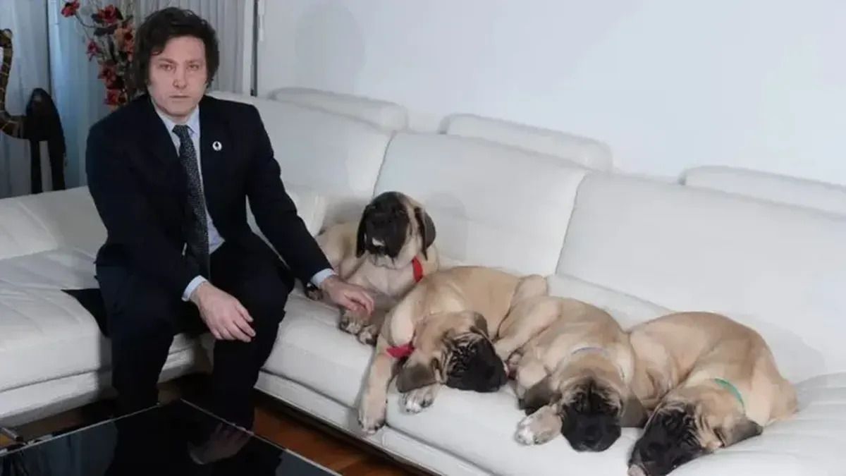 Javier Milei junto a sus perros clonados. Javier Milei junto a sus perros clonados.