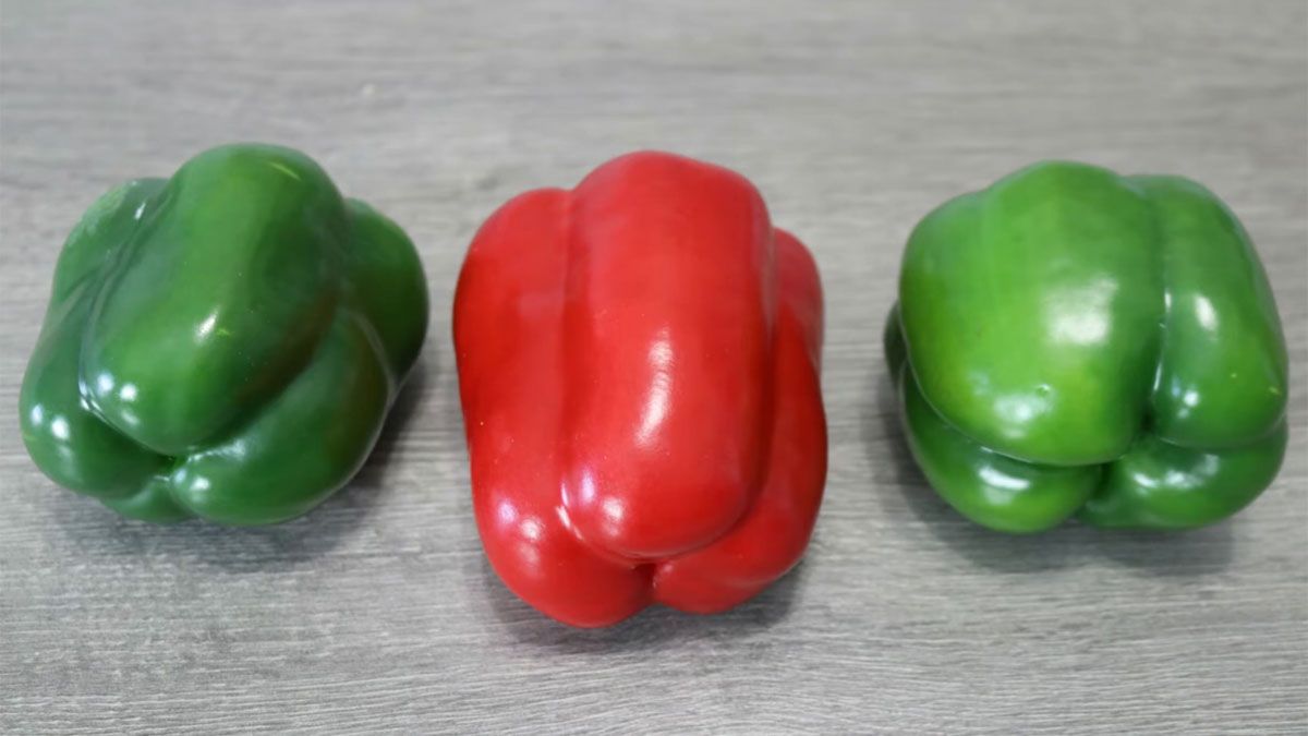 Revelaron qué significa que el pimiento tenga tres o cuatro puntas.