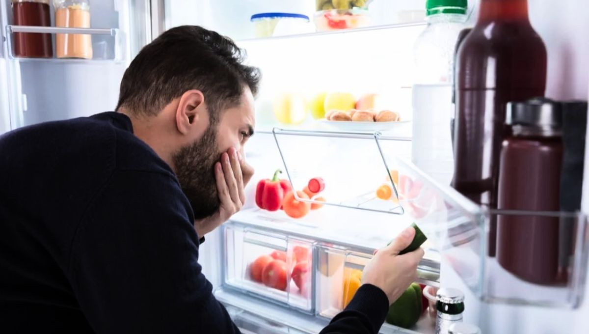 El mal olor es uno de los problemas más comunes respecto a la heladera