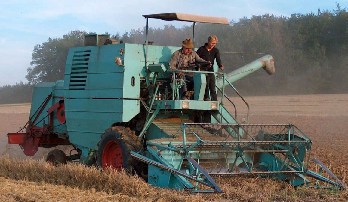 Nuevo bono de $10.000: quiénes lo cobrarán