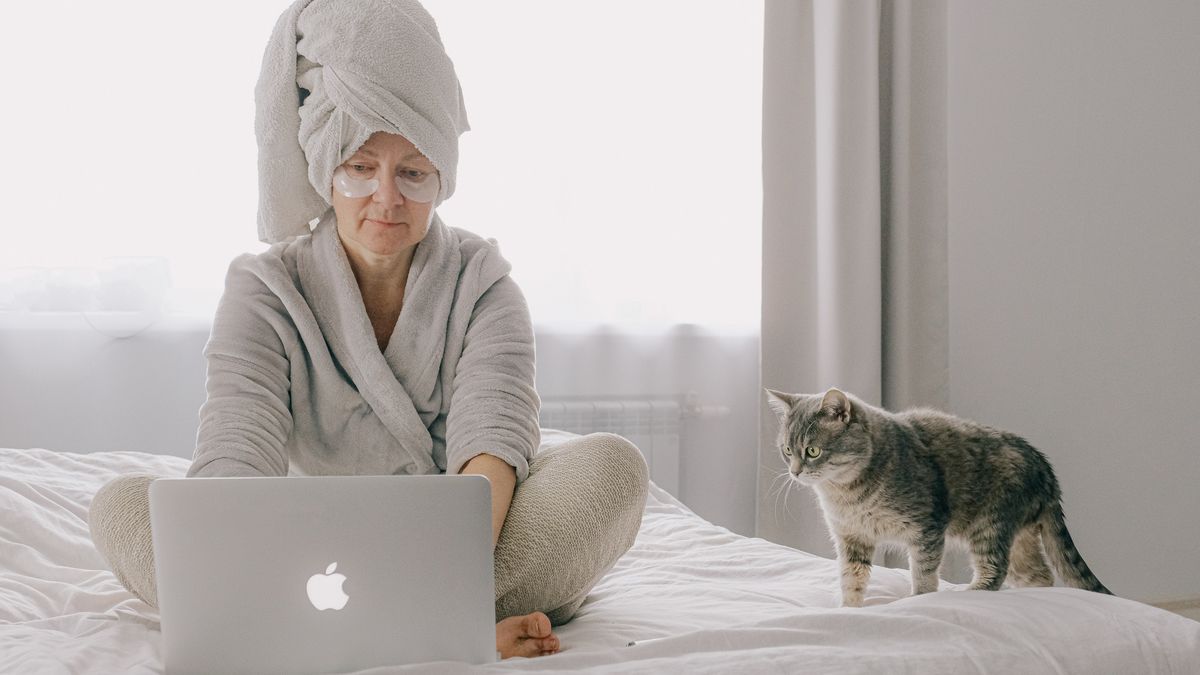 Los gatos parecen reconocer el nombre de sus dueños. 