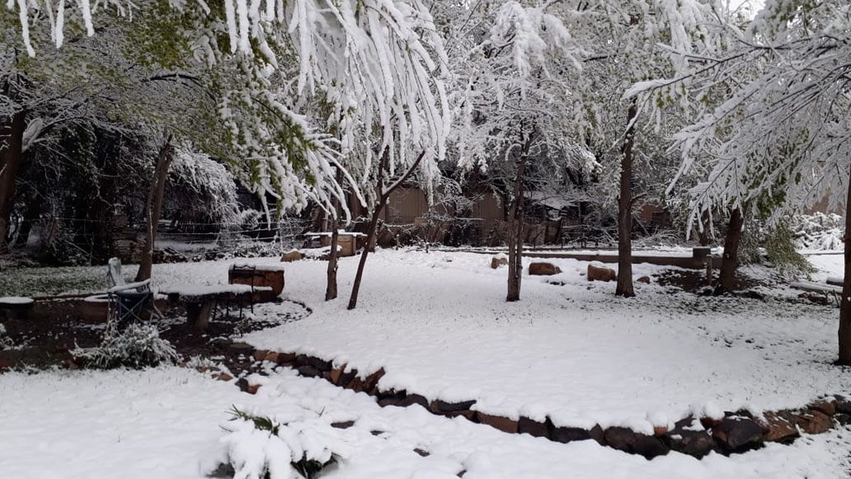 El Manzano Histórico este miércoles se tiñó de blanco ante la nevada. El Manzano Histórico este miércoles se tiñó de blanco ante la nevada.