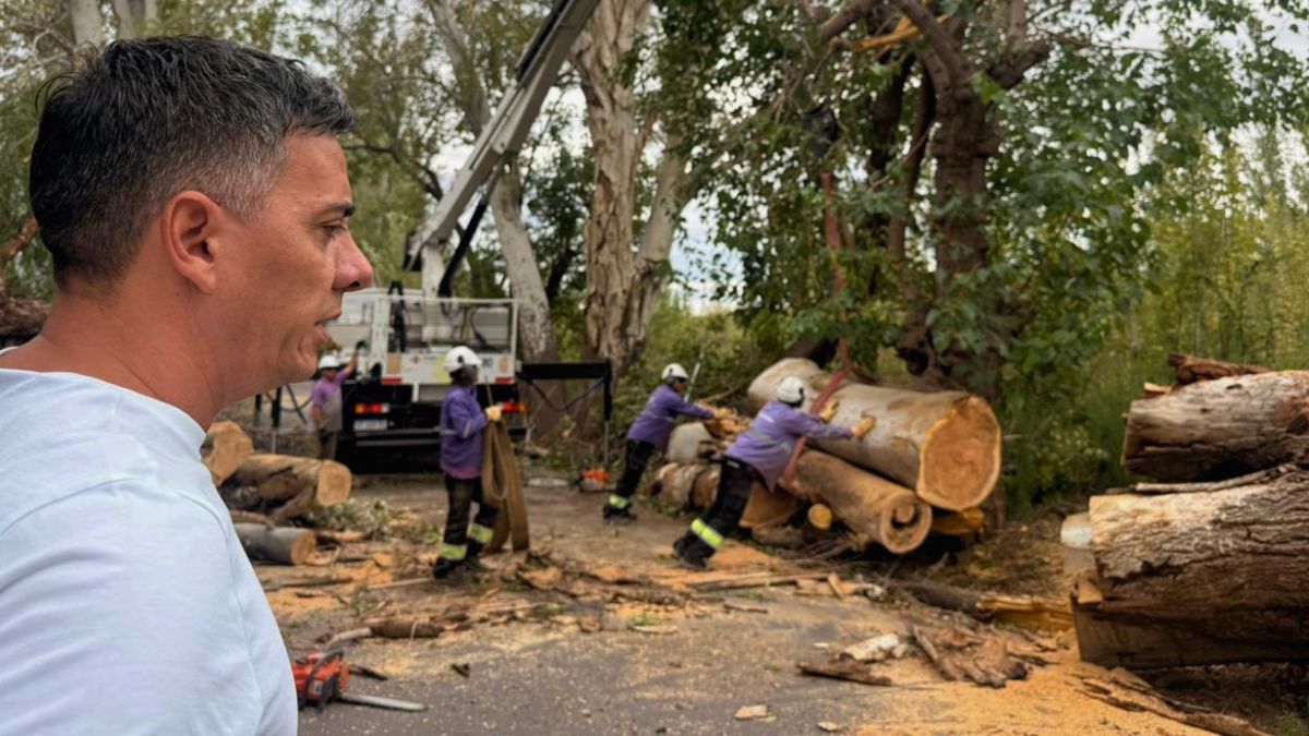Cuadrillas de la Municipalidad de Guaymallén trabajando después de la tormenta del viernes para despejar calles de árboles caídos. Cuadrillas de la Municipalidad de Guaymallén trabajando después de la tormenta del viernes para despejar calles de árboles caídos.