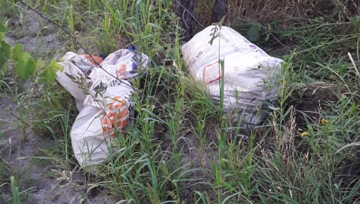 Así dejan las bolsas los ladrones. Luego llegan en una camioneta y en pocos minutos se llevan cientos de kilos de fruta.