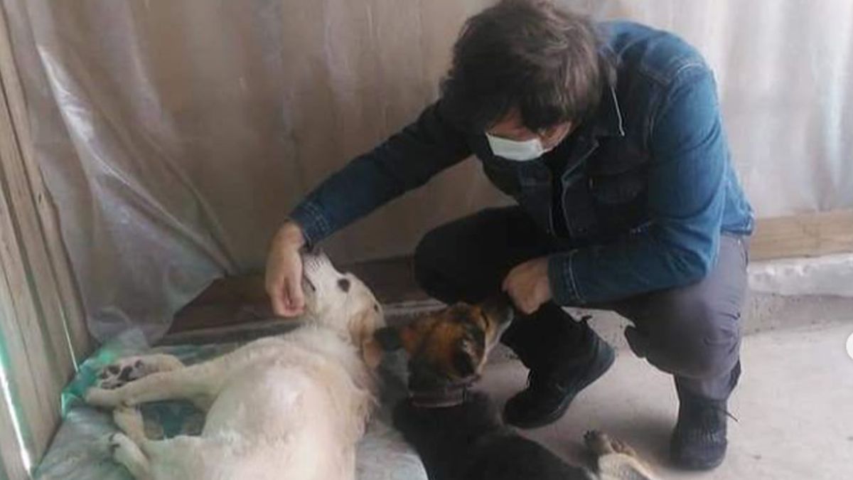Cuando Javier Milei visitó el refugio para perros de avanzada edad. Cuando Javier Milei visitó el refugio para perros de avanzada edad.