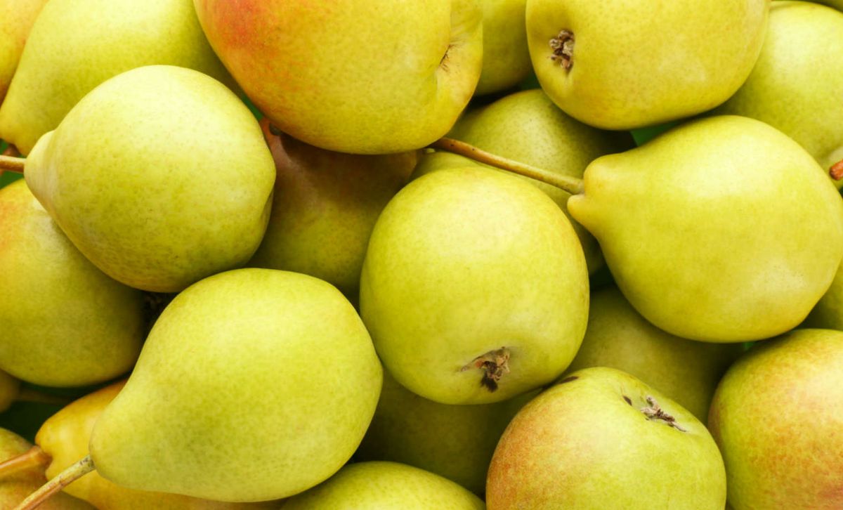 Los beneficios de la pera para la digestión y el corazón. Los beneficios de la pera para la digestión y el corazón.