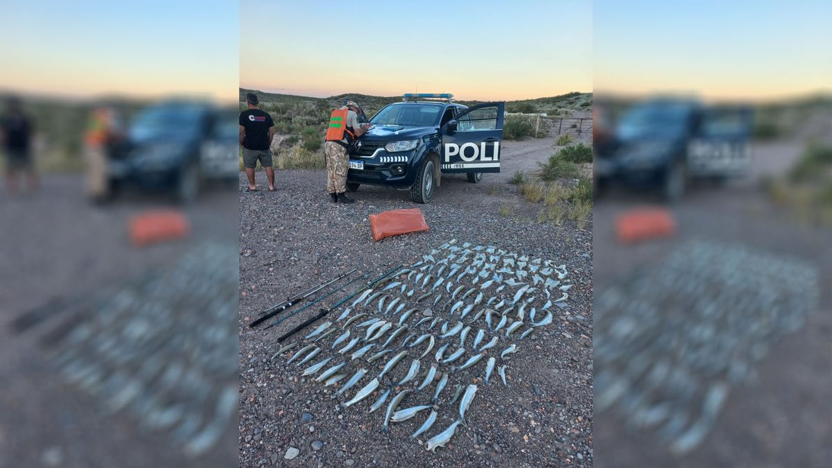 la Policía secuestró 135 pejerreyes y dos cañas de pescar que llevaba un hombre sin el permiso correspondiente para la actividad. Foto: Ministerio de Seguridad