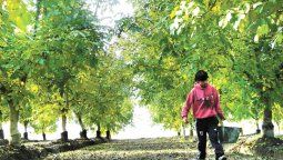 Inspecciones y más control policial para mitigar el delito en fincas del Valle de Uco