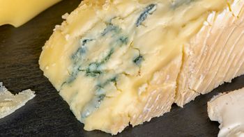 Por qué el queso azul y el queso roquefort no son lo mismo: ¿cuáles son las diferencias? Por qué el queso azul y el queso roquefort no son lo mismo: ¿cuáles son las diferencias?
