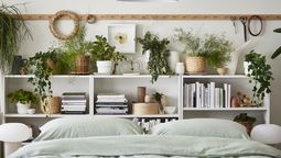 La inclusión de plantas en interiores no es solo una moda: la vegetación en espacios cerrados mejora el estado de ánimo, reduce la ansiedad y da mayor sensación de relajación.