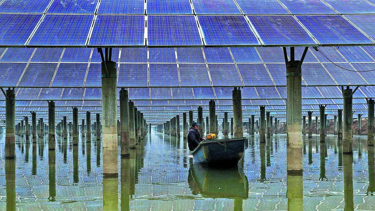 Un trabajador se desplaza en un bote debajo de una planta de energía fotovoltaica en Xinghua