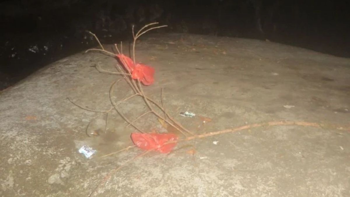 Las fotos de las jóvenes desaparecidas, apuntando hacia la nada. Las fotos de las jóvenes desaparecidas, apuntando hacia la nada.