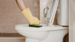 ¿Cómo limpiar el inodoro y el bidet para eliminar el sarro? ¿Cómo limpiar el inodoro y el bidet para eliminar el sarro?