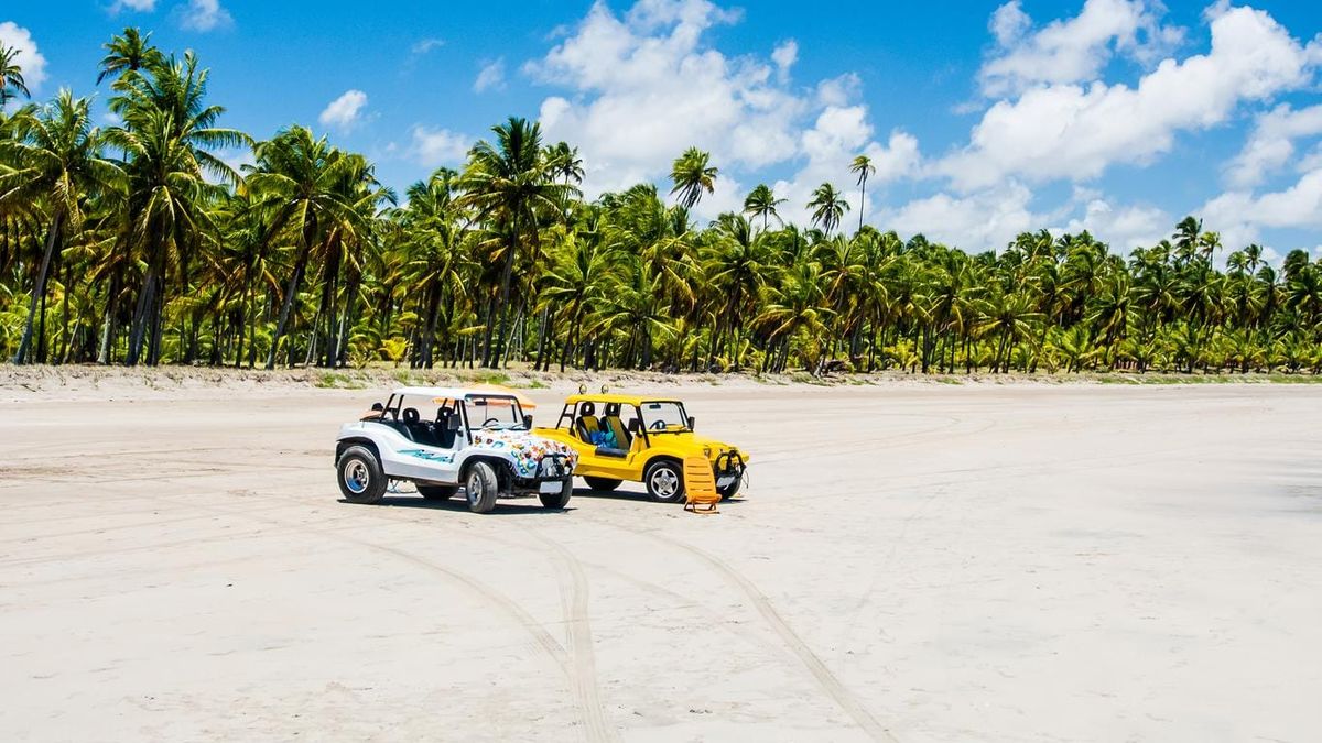 Este paraíso de Brasil tiene playas de arena blanca. Imagen: Freepik. Este paraíso de Brasil tiene playas de arena blanca. Imagen: Freepik.