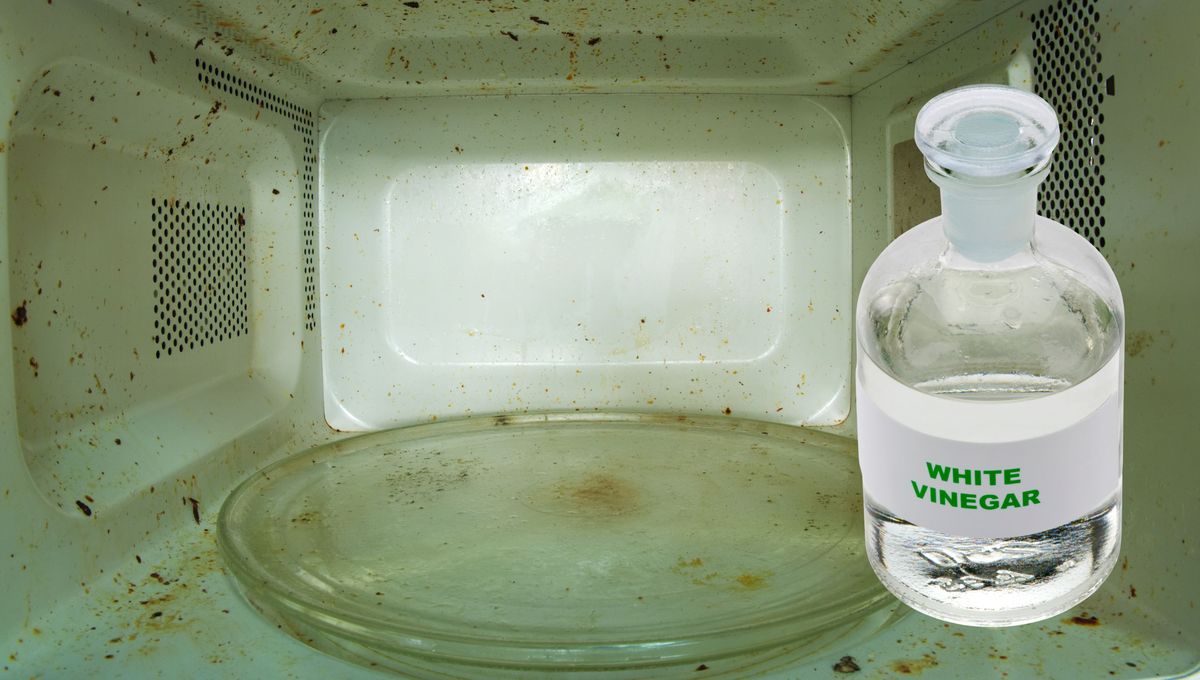 Verás cómo la suciedad se desprende por completo, dejando la superficie brillante y desinfectada en segundos. Verás cómo la suciedad se desprende por completo, dejando la superficie brillante y desinfectada en segundos.