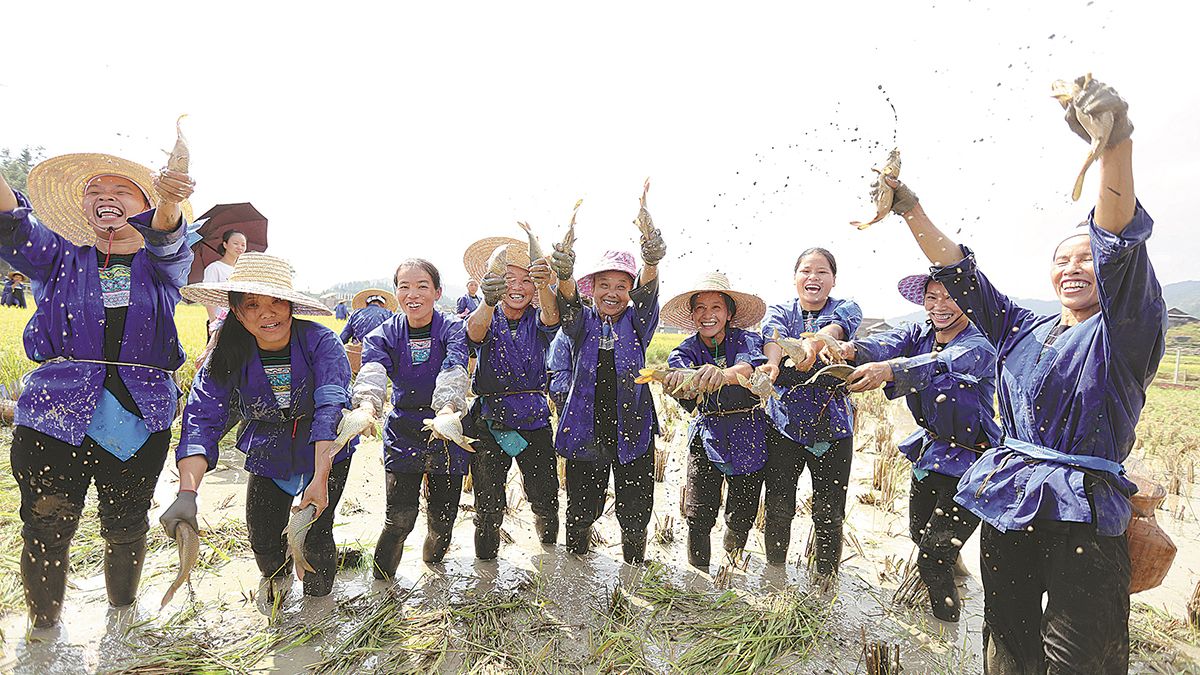 Mujeres de la etnia dong pescan en los arrozales del condado autónomo de la etnia dong de Sanjiang en la Región Autónoma Zhuang de Guangxi. WU LIANXUN / PARA CHINA DAILY