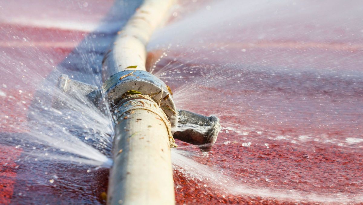 El corte de debe a que hay un desperfecto en una cañería. El corte de debe a que hay un desperfecto en una cañería.