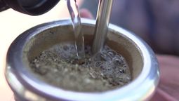 Beneficio de tomar mate con limón.