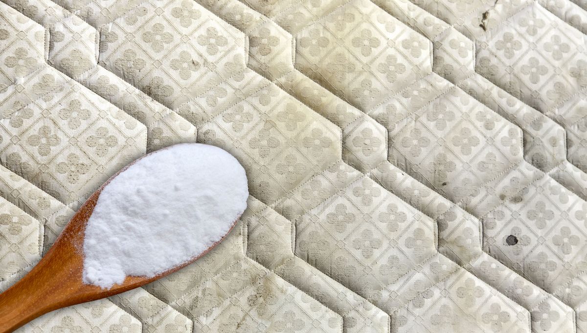 También puedes eliminar el olor a pis usando un poco de vinagre. También puedes eliminar el olor a pis usando un poco de vinagre. 