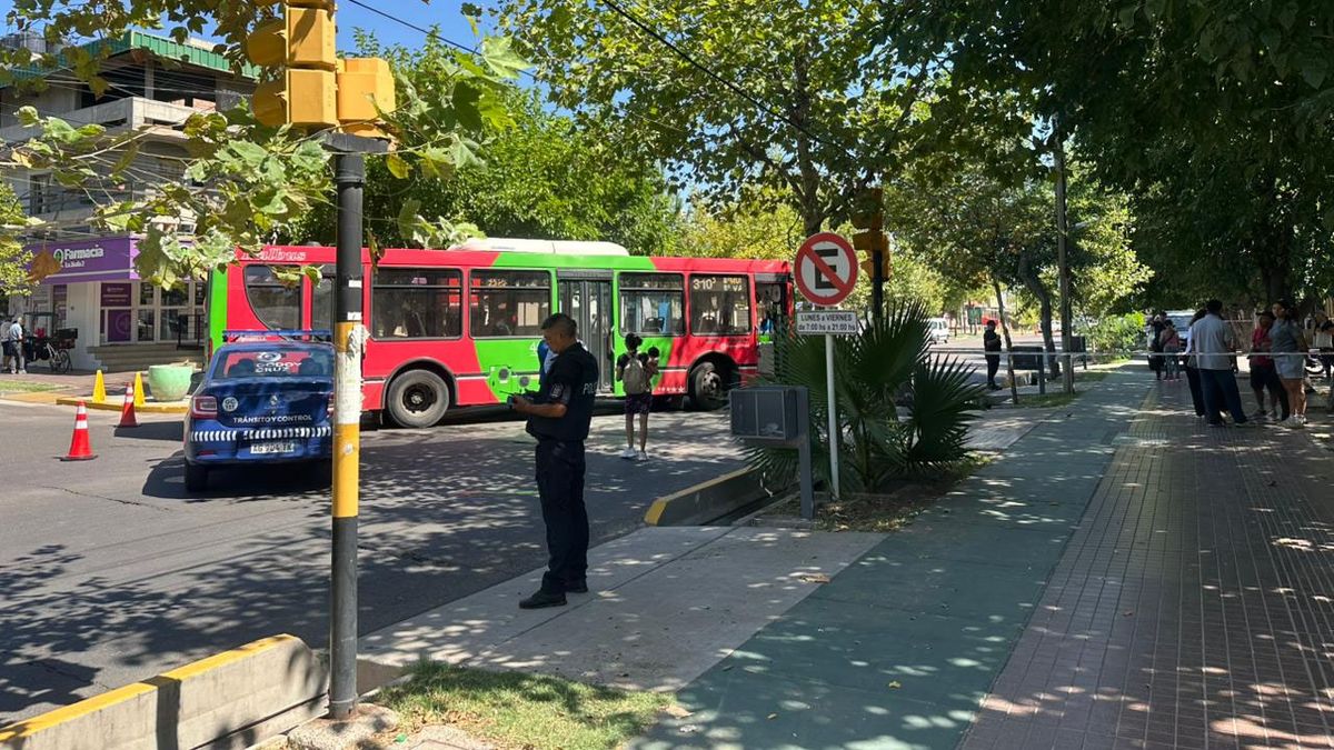 Una mujer que cuidaba a una anciana murió atropellada por un micro cuando iba a comprar tortitas en Godoy Cruz
