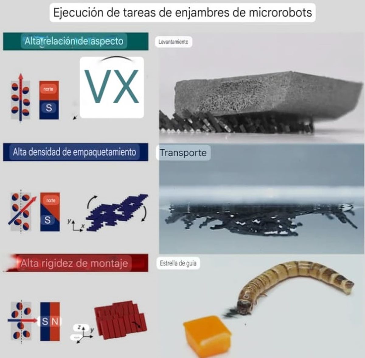 Los trabajos realizados de manera comunitaria sorprenden. Los trabajos realizados de manera comunitaria sorprenden.