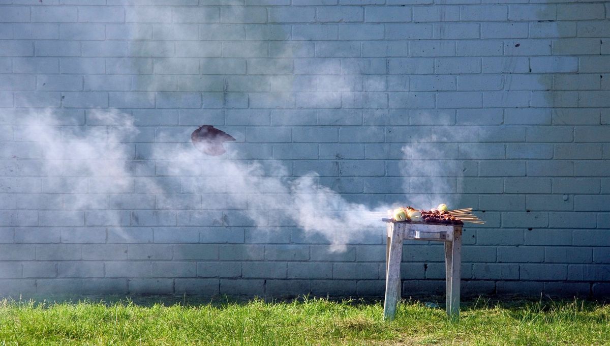 Puedo reclamarle al vecino si el humo de su asado invade mi casa