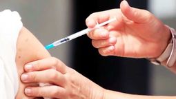 Especialistas manifestaron su preocupación por el descenso en la vacunación contra la gripe. En Mendoza, el costo de las dosis privadas alcanza los $65.000